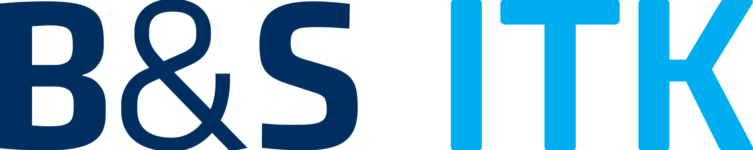 B&S ITK Logo